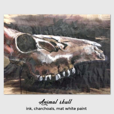 animal-skull-Elisa-Neri.jpg